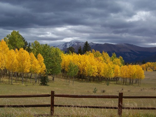 Divide, CO: Teller County 5 Fall and Pikes Peak