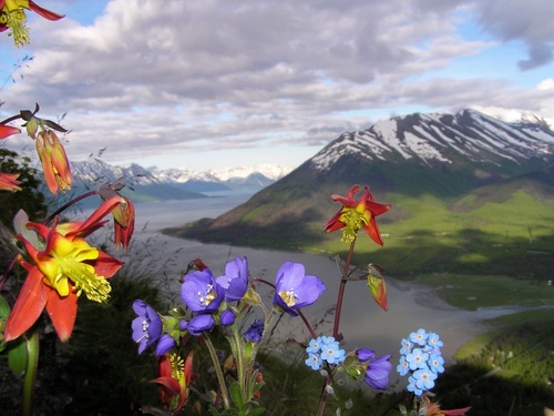Hope, AK : near baldy hill