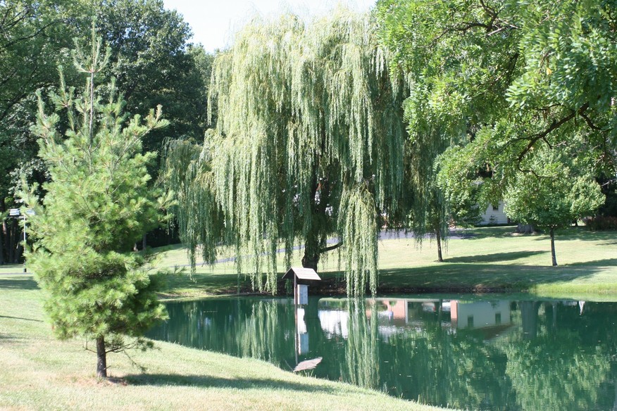 Lowell, IN : Peaceful Pond--Lowell Park Dist.