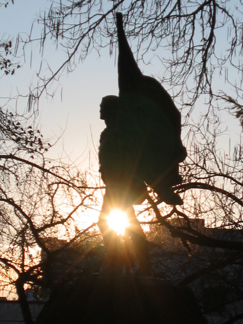 Sonoma, CA : Sun within a wonderful Downtown Sonoma Morning