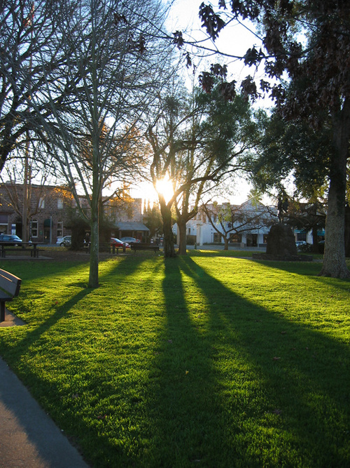 Sonoma, CA : Soltice Sun Downtown Sonoma Morning
