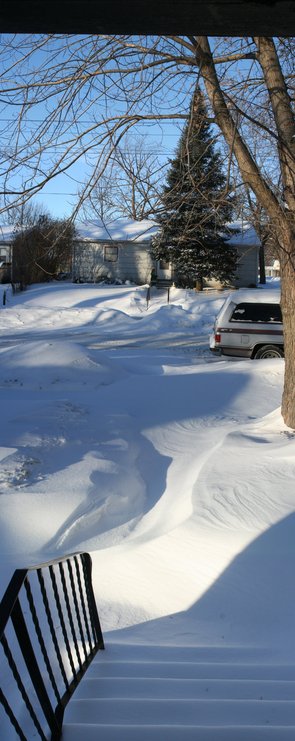 Albert Lea, MN: A recent snowfall outside my door on So First Ave. in Albert Lea, Mn.
