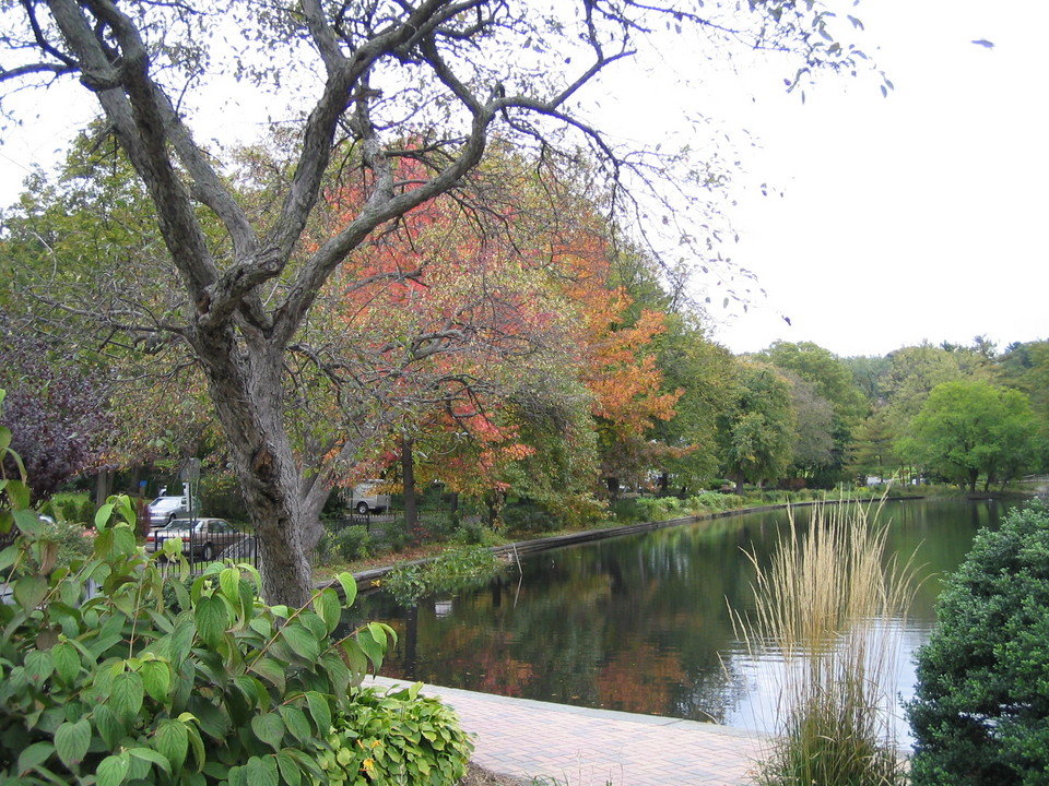 Port Washington, NY: Pond on Shore Road