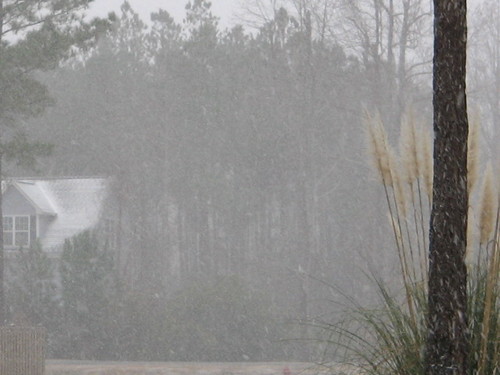 Sneads Ferry, NC : snow in sneads ferry!?