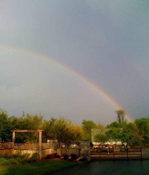 Herndon, VA: Right Here Under The Rainbows