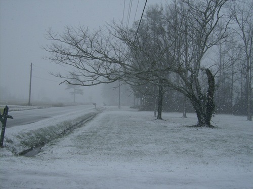 Maysville, NC : 1/20/09 White Oak River Road in Snow White