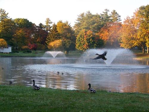 Auburn, NY: Hoopes Park, Autumn 2008