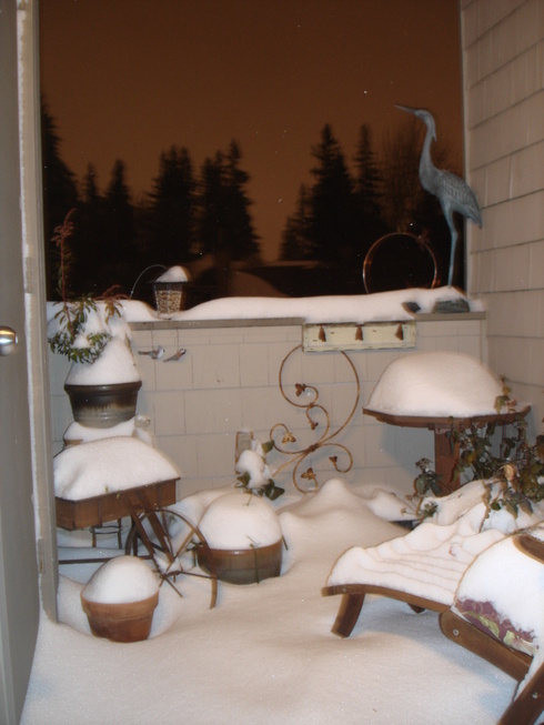 Beaverton, OR : A snow show