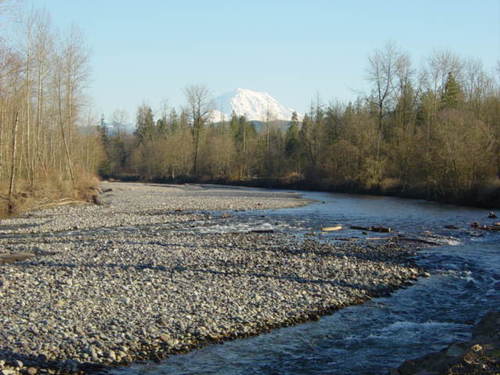 Orting, WA: View of the Carbon river along the Rails to Trails paved trails system about 3/4 miles from Downtown Orting