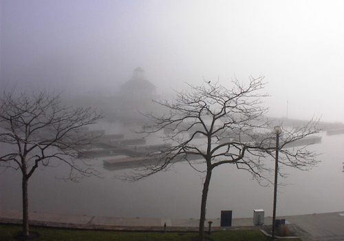 Huron, OH: A foggy morning renders a beautiful, haunting picture of the Huron Boat Basin