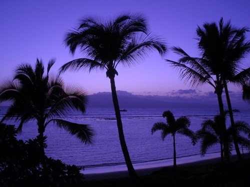 Lahaina, HI : View from lanai at Lahaina Shores - finally saw 
