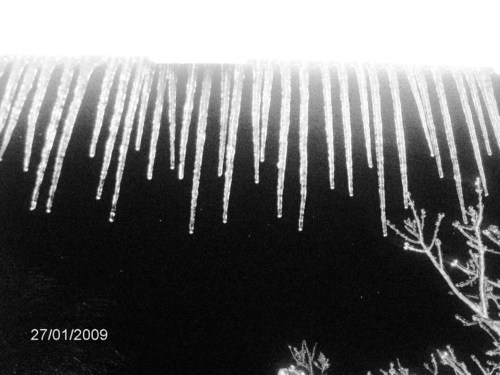 Cynthiana, KY : Ice Storm Jan. 2009
