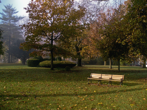 Owego, NY : Draper Park in the morning by the river.