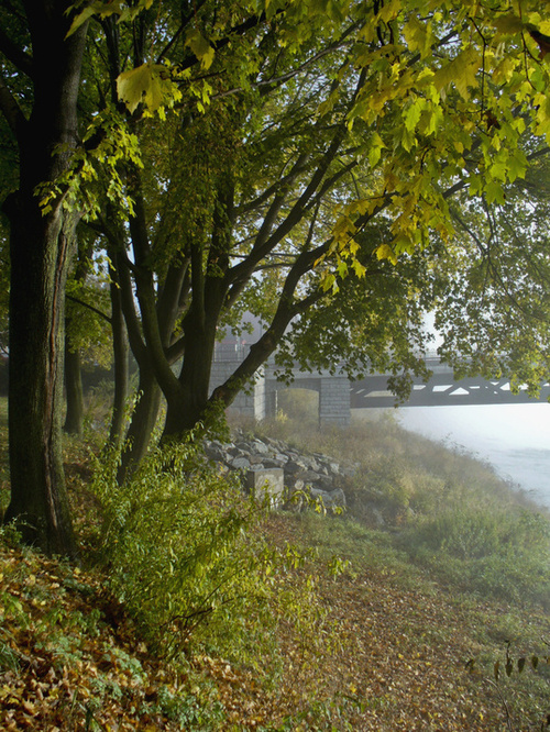 Owego, NY : Location of future river walk, by the Susquehanna River in the morning.