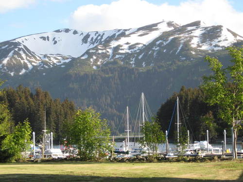 Seldovia, AK : Small Boat Harbor