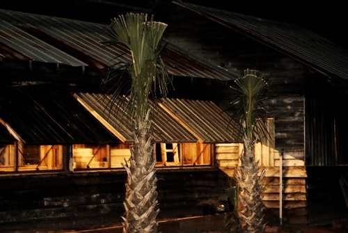 St. Cloud, FL : The Cannery Building Peg Horn Nature Park at night