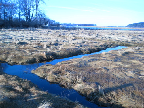 Essex, MA : Essex, MA ~Known for it's beautiful, expansive marshes...estuaries, ocean veiws, river views and lake views!   Go to www.essexma.org for more information