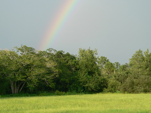 Bithlo, FL: rainbow over 6th street