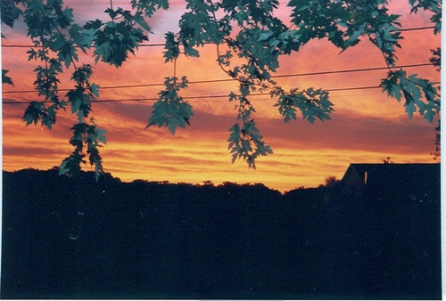 Essex, IL : Essex Sunrise