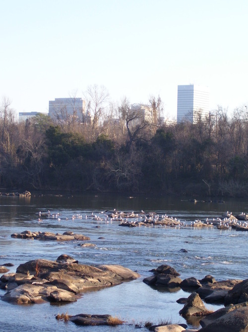 Columbia, SC: downtown Columbia from the banks of the Congaree River