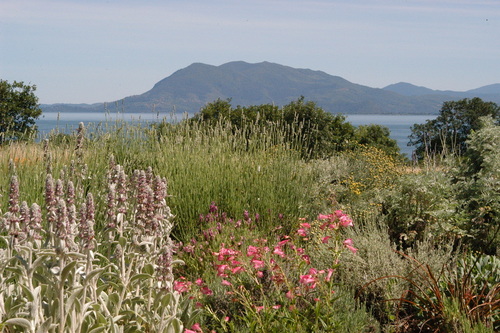Lakeport, CA : View of Mount Konocti