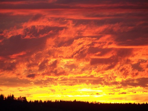 Sherwood, OR : Sherwood Sunset: by living green remodeling
