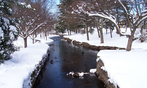 Nutley, NJ: Memorial Park, Snowstorm 2006