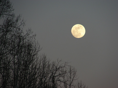 Shawsville, VA : Full Moon Shawsville, Va