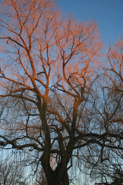 Fort Atkinson, WI : that golden pink light marking the end of a winter day