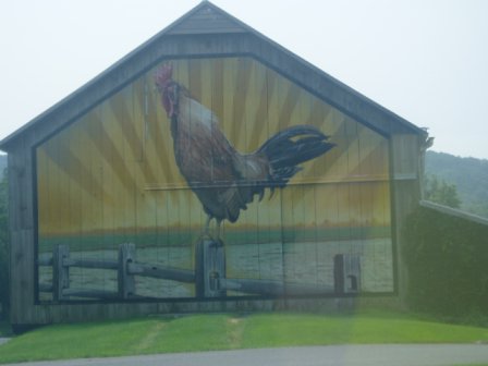Mount Joy, PA: Rooster on a barn in Mount Joy