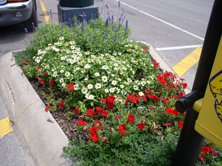 Mulvane, KS: The flowerbeds in the town square.