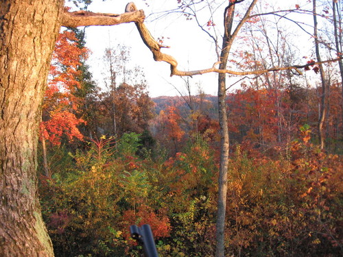 Edmonton, KY: Red Lick Ranch, Edmonton, KY located on the Red Lick Creek