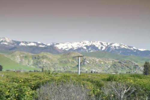 Lindsay, CA : Mountains, with snow, taken at Strathmore Ave. and Citrus Ave.