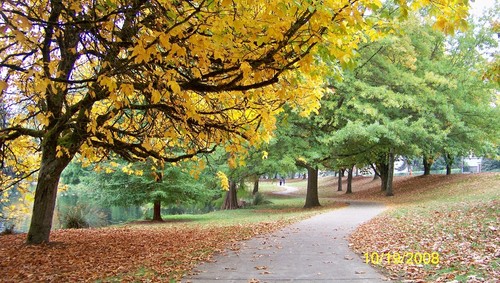 Eugene, OR: The Autumn Walk