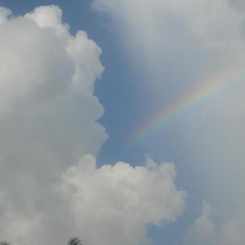 Cape Coral, FL : Backyard  rainbow