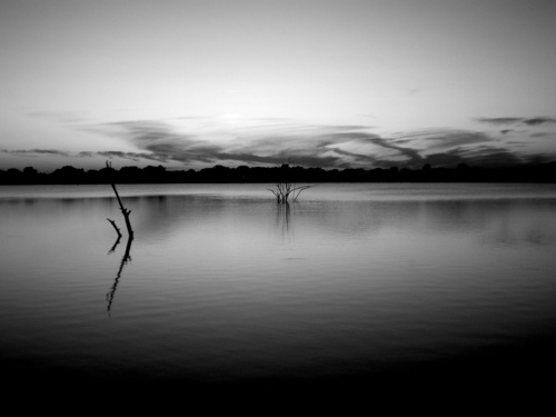 Hackberry, TX: Lake Lewisville at the end of King Rd. Taken at dusk.