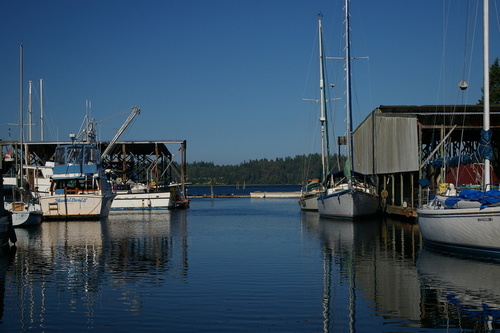 Olympia, WA : One of the many marinas in Olympia