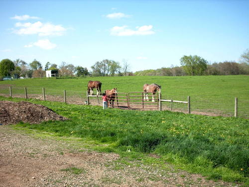 Lucas, OH : View from behind the barn at Malabar Farm where the animals are kept