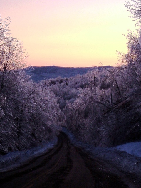 Weld, ME: After the Ice Storm of 2008
