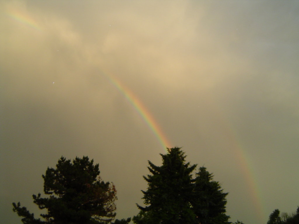 Uniontown, PA: Rainbow in backyard of Uniontown, PA resident.