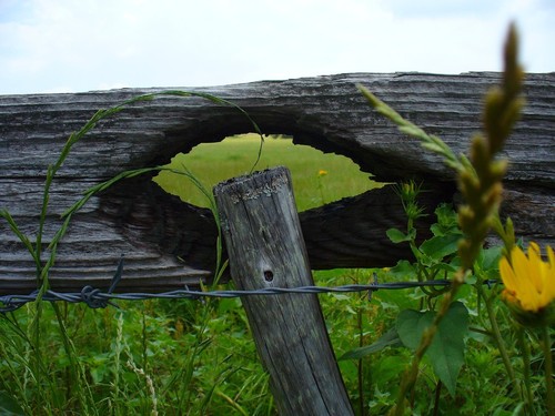 Murchison, TX : This was taken on a back road in Murchison, Texas  I call a post with a view.  The eye shaped hole and the green grain is almost like an eyelash in an abstract sort of way.  There are many beautiful places in Murchison.