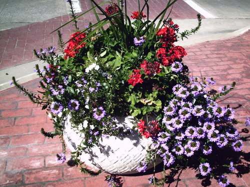 Saginaw, MI: Downtown Flower Pot.