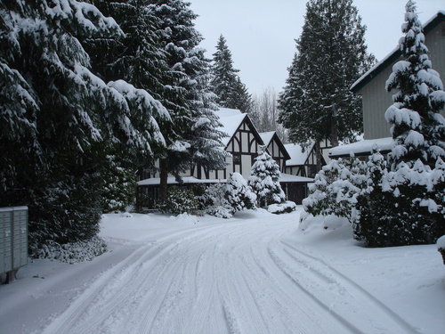 Mill Creek, WA: My house on Mill Fern Dr, Stratford Greens Community, in Mill Creek,WA during the December '08 snow
