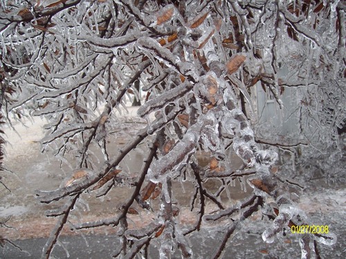 Springdale, AR: Previous Ice Storm