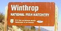 Winthrop, WA: Withrop has a National Fish Hatchery