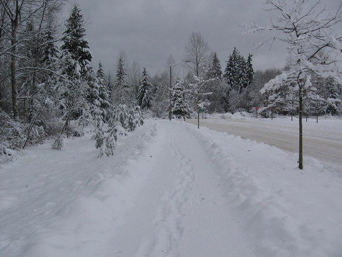 Tulalip, WA: Big snow of December '08