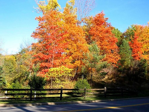 Pepper Pike, OH: My Favorite Fall Corner, S. Woodland and Pinetree Rd