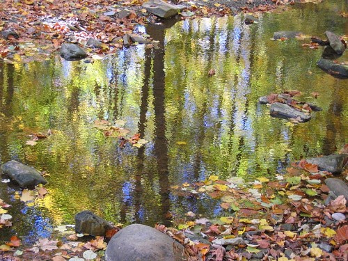 Pepper Pike, OH : North Chagrin Metropark