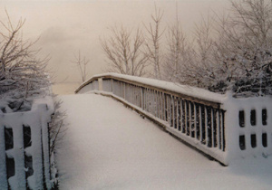 West Haven, CT : untouched....west haven beach,,,