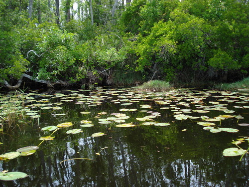 Grant, MN : city of orlando